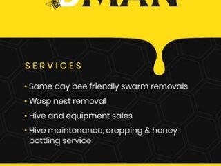 BEE-OR-WASP-PROBLEMS