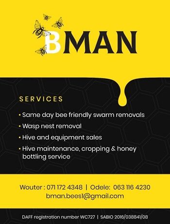 B Man – Same day bee friendly removal