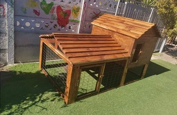 Custom build pet homes