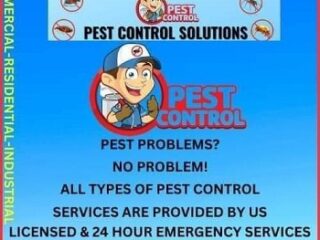 Houstons-Pest-Control-Solutions