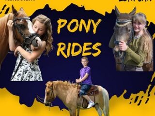 Pony-Rides-in-Hermanus